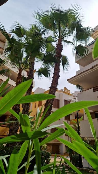 Olivia Sunny 2 Bedroom Apartament Punta Prima Торрев'єха Екстер'єр фото